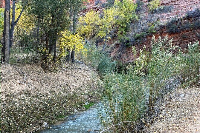 YOU DRIVE!! 4 Hr East Zion Guided UTV Tour - Final Thoughts