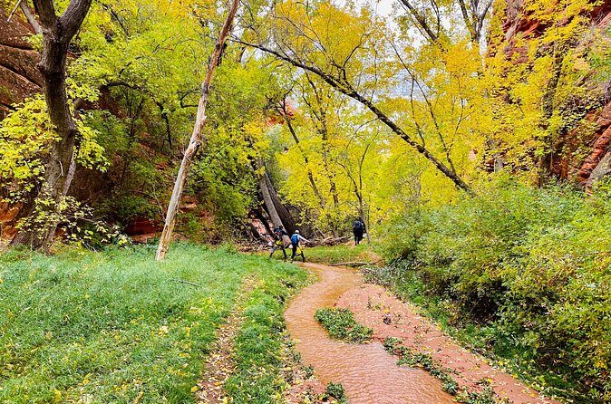 YOU DRIVE!! 4 Hr East Zion Guided UTV Tour - FAQs