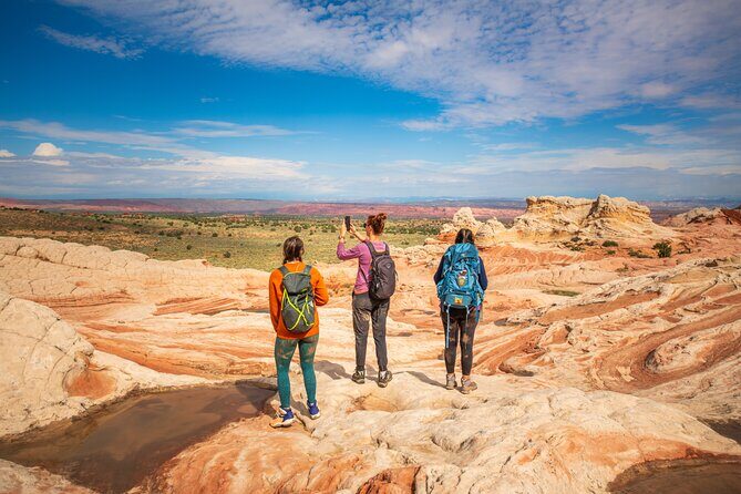 YOU DRIVE!! 8 Hr White Pocket UTV Tour - Practical Details