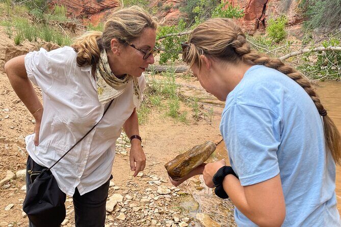 YOU DRIVE!! East Zion's Hidden Treasures - 4 Hr UTV Tour - FAQs