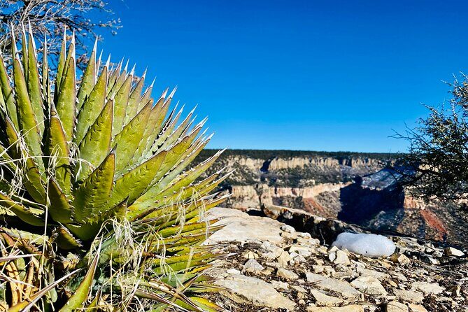 YOU DRIVE!! Iconic Grand Canyon Overlooks Full Day UTV Tour - Who Should Consider This Tour?