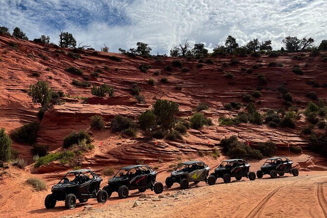 YOU DRIVE!! Rap & Ride - A Full Day of Rappelling and UTVs - Introducing the Experience