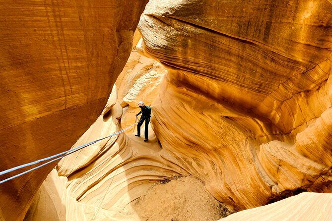 YOU DRIVE!! Rap & Ride - A Full Day of Rappelling and UTVs - FAQ