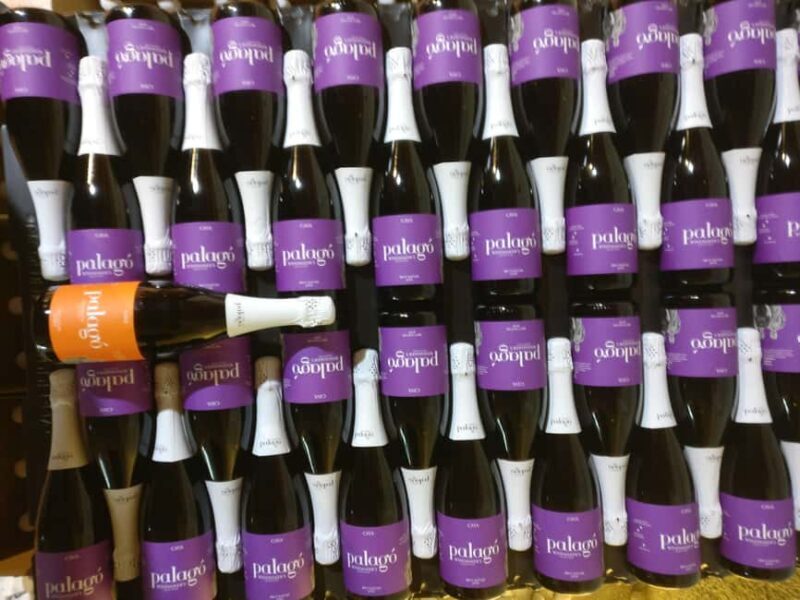 Your Cava, Your Story  Wine workshop experience at Artcava - Frequently Asked Questions (FAQs)