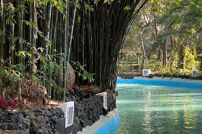 Your city, your way. Private Mexico City tour with a local expert - The Experience: What Travelers Say