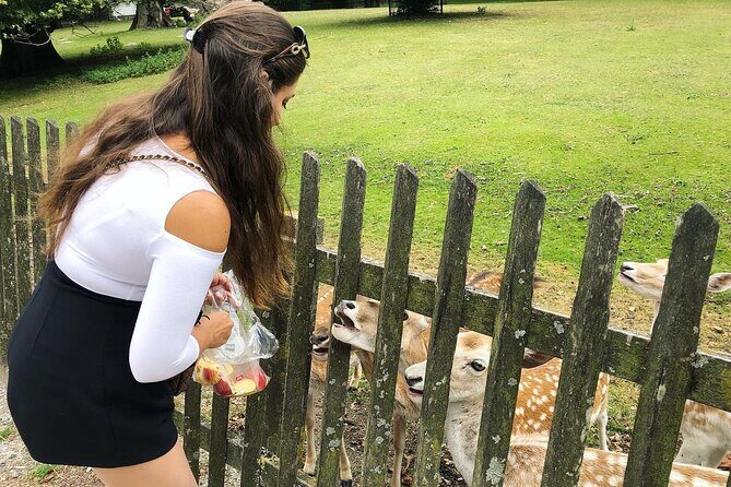 Your Own Holland. Haarlem, the Coastal Dunes and the North Sea - FAQs