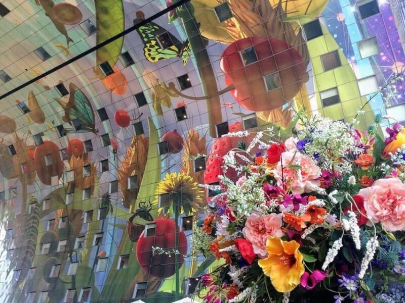 Your Own Holland. Rotterdam: Travel to the Future - FAQ