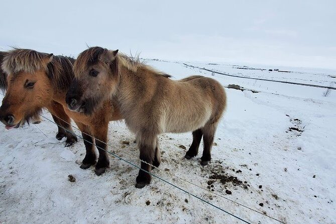 Your private golden circle tour with a personal guide - Final Thoughts