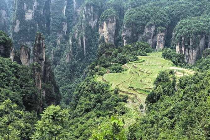 Yuanjiajie Avatar and Tianzi Mountain and Rice Field Village Tour - Final Thoughts: Is This Tour for You?