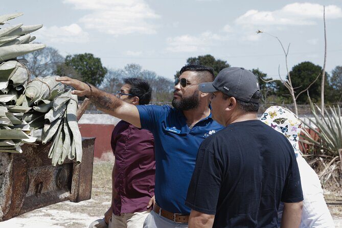 Yucatan Discovery: Motul, Hacienda, Xcambo, Xtampu & Progreso - FAQs