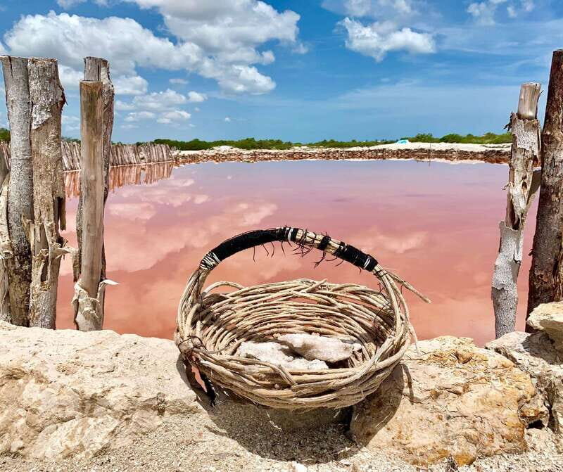 Yucatan: Get to Know the 5 Emblematic Points Experience - The Value of This Tour