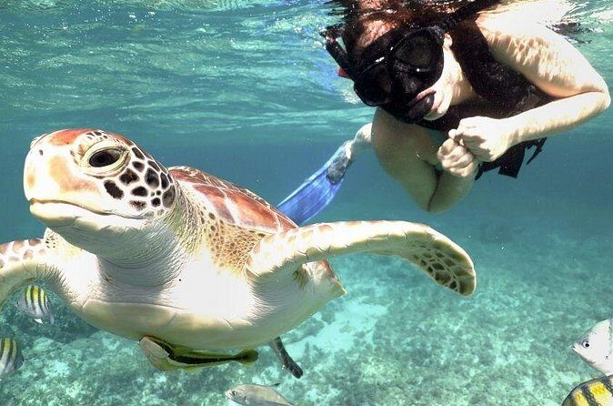 Yucatan Peninsula Full-Day Private Tour: Akumal, Tulum Ruins and Cenote Swim - Key Points