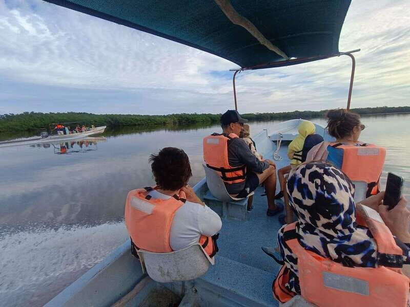 Yucatán: Río Lagartos Biosphere Reserve Boat Tour - A Closer Look at the Río Lagartos Biosphere Reserve Boat Tour