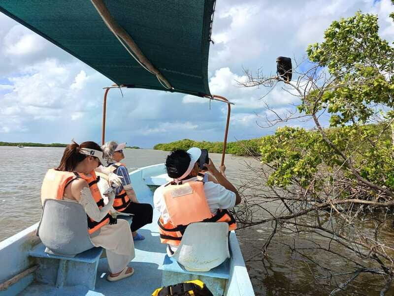 Yucatán: Río Lagartos Biosphere Reserve Boat Tour - Who Will Love This Tour?