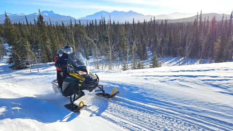 Yukon: Half-Day Snowmobile Tour - Key Points