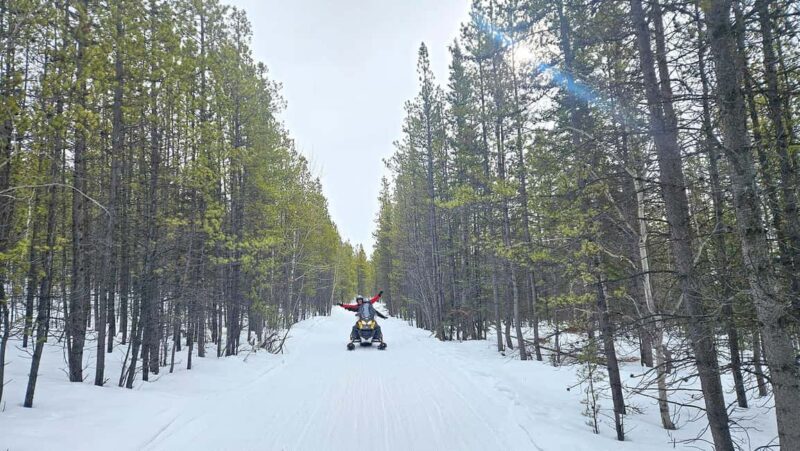 Yukon: Half-Day Snowmobile Tour - The Sum Up