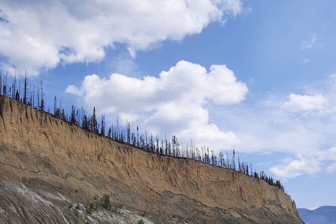 Yukon River Boat Tour Through Miles Canyon - The Value of the Experience