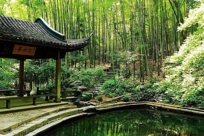 Yunxi Bamboo Forest and West Lake Private Day Tour with Tea Plantation Experience - A Closer Look at the Tour Experience