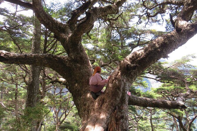Yushan Main Peak Two Days and Two Nights | Taiwan's Highest Peak - Frequently Asked Questions
