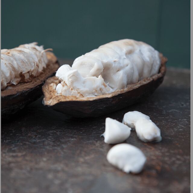 Zaandijk: Chocolate making demonstration & tasting - FAQs