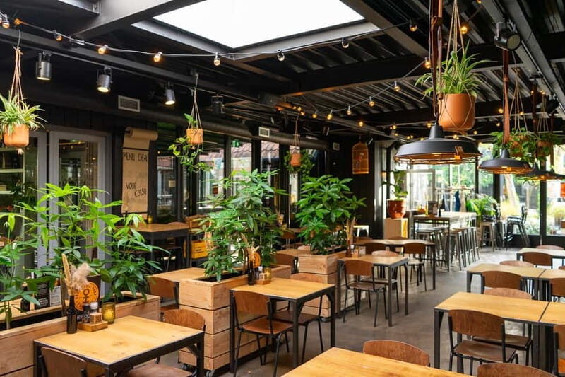 Zaanse Schans: Brewery HOOP Tour and Tasting - Key Points