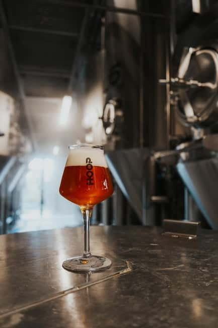 Zaanse Schans: Brewery HOOP Tour and Tasting - Exploring Brouwerij HOOP: A Closer Look