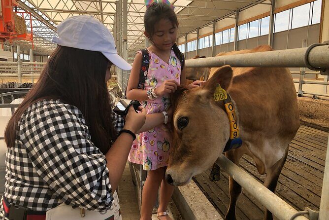 Zaanse Schans Windmills, Countyside & Fishing Villages - Final Thoughts
