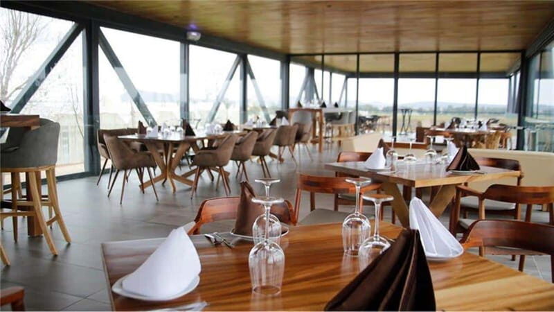 Zacatecas: Campo Real Vinícola Tour - Key Points