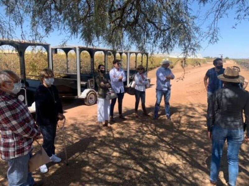 Zacatecas: Campo Real Vinícola Tour - A Detailed Look at the Zacatecas: Campo Real Vinícola Tour