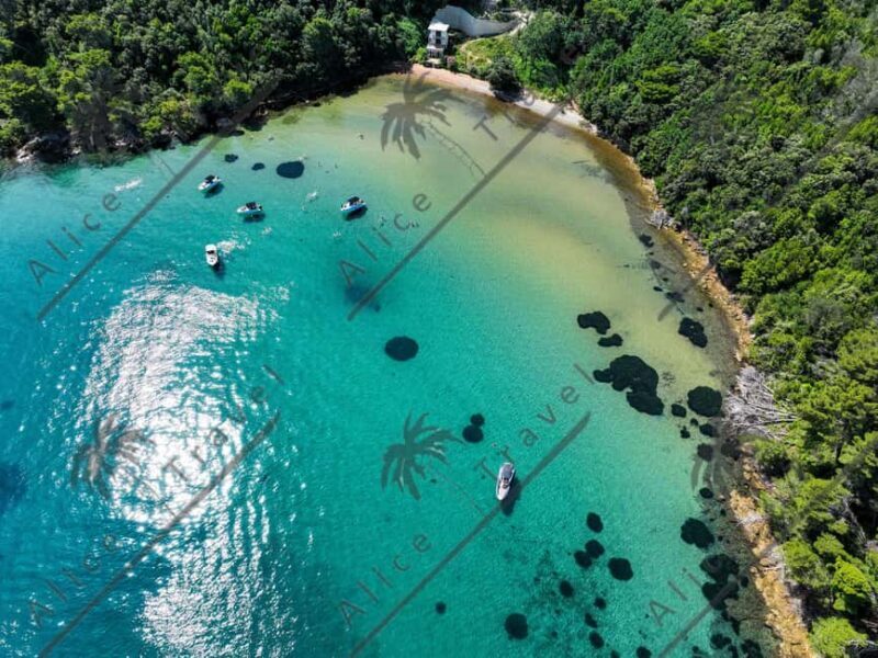 Zadar: 3 Island Speedboat Tour with Gin & Tonic and Wine - What to Expect: From Snorkeling to Scenic Views