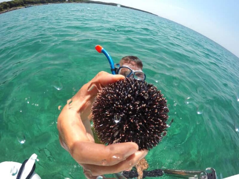 Zadar: 3-Islands Snorkeling, Beach, and Sightseeing Tour - Key Points