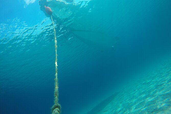 Zadar 3-Islands Tour: Snorkeling, Beach & Sightseeing - 4,5hr - Additional FAQs