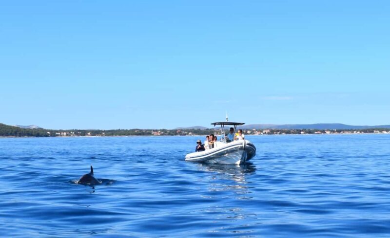 Zadar: Dugi Otok Island - 2x Snorkeling & Sandy Beach - 7 hr - In-Depth Look at the Dugi Otok Tour