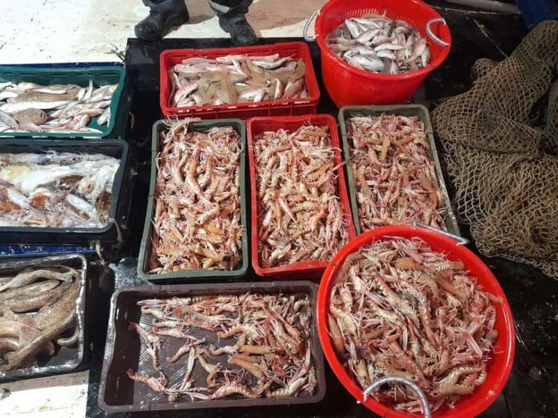 Zadar: Fishing Boat Trip with Lunch and Swimming Included - A Deep Dive into the Zadar Fishing Boat Trip