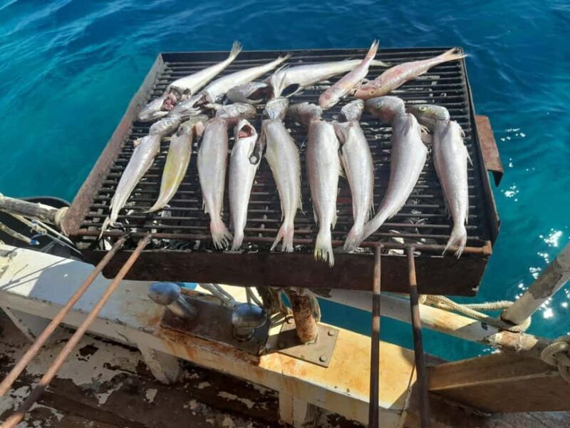 Zadar: Fishing Boat Trip with Lunch and Swimming Included - Final Thoughts