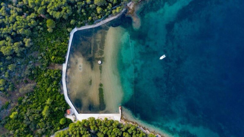 Zadar: Full Day Speedboat Adventure - Key Points