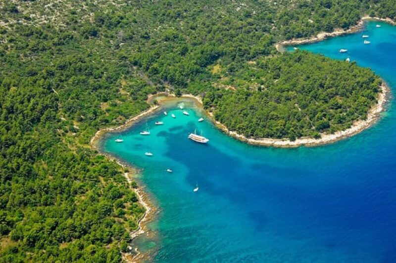 Zadar: Half day Speedboat tour with Snorkeling and Drinks - Final Takeaway