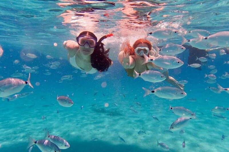 Zadar: Island-Hopping, Swimming & Snorkeling SpeedBoat Tour - Key Points