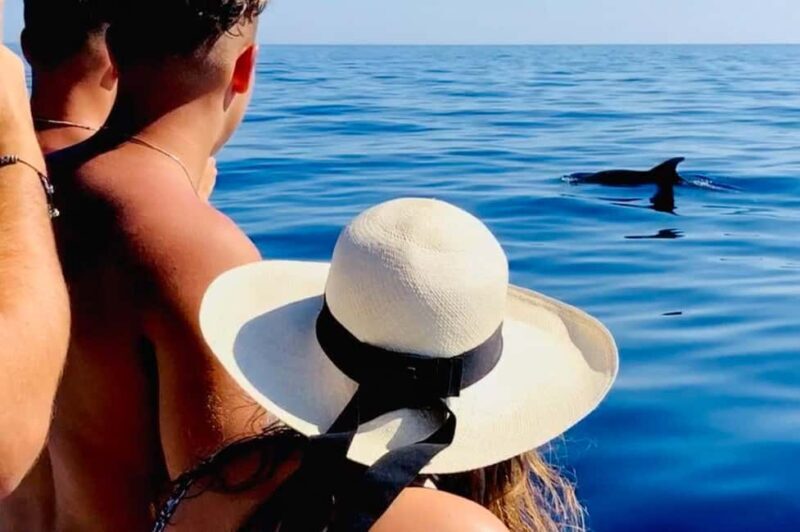 Zadar: Island-Hopping, Swimming & Snorkeling SpeedBoat Tour - Final Thoughts