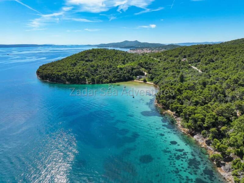 Zadar: Island Hopping Tour Swim and Snorkel with Drinks - The Experience: What to Expect from the Zadar Island Hopping Tour