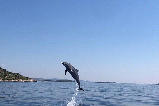 Zadar: Island Luxury Speedboat Tour with Snorkeling - Who Will Love This Tour?
