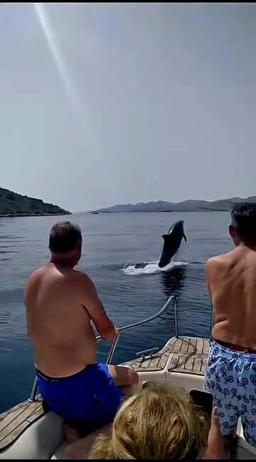 Zadar: Islands & Lagoons Tour with Drinks and ECO fruits... - Key Points