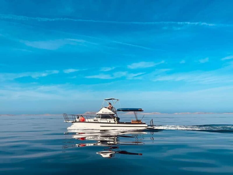 Zadar: Private Tour to Ugljan, Osljak and Galevac - half day - Zadar: Private Tour to Ugljan, Osljak, and Galevac – Half Day