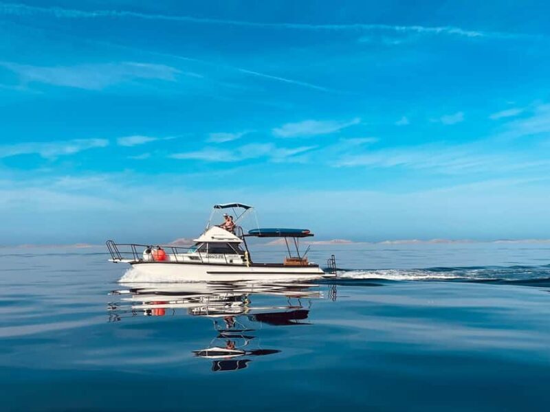 Zadar: Private Tour to Ugljan, Osljak and Galevac - half day - Practical Details and Tips for Travelers