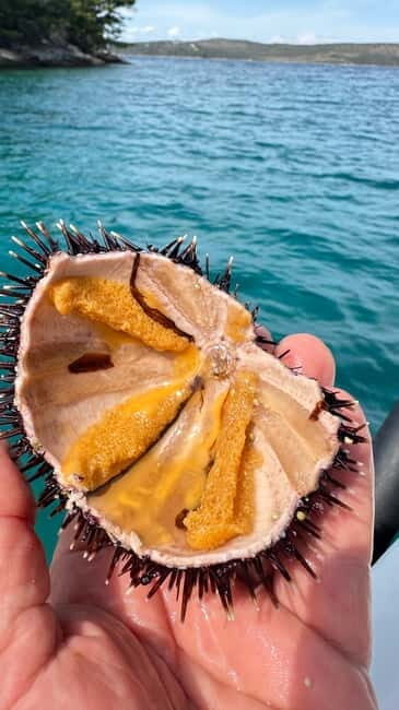 Zadar: Sakarun beach and sunken ship Michelle - Itinerary Breakdown: From Coastal Charm to Hidden Bays