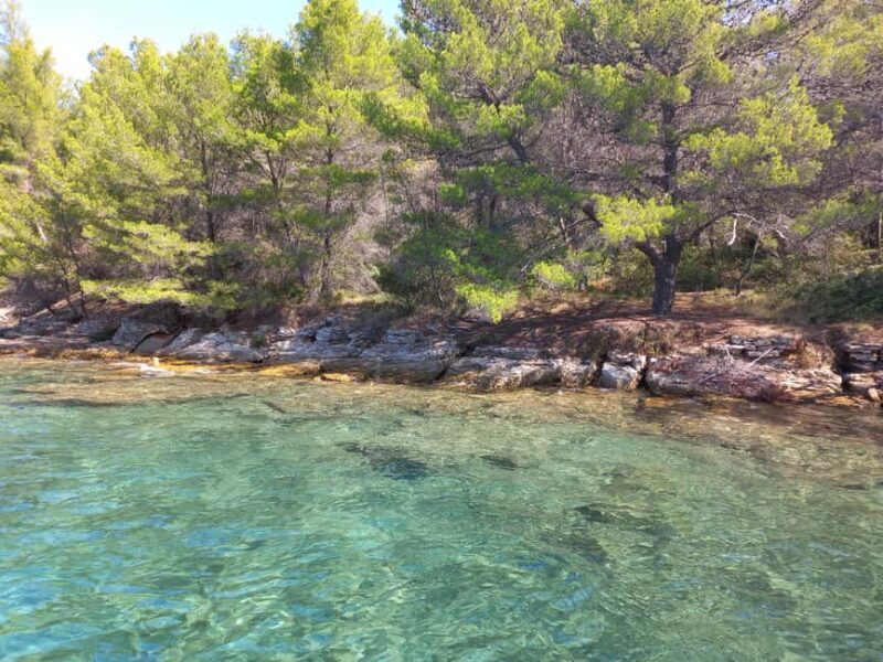 Zadar: Sea, Sun, and Wind Half-Day Sailing Adventure - The Starting Point and Overall Atmosphere