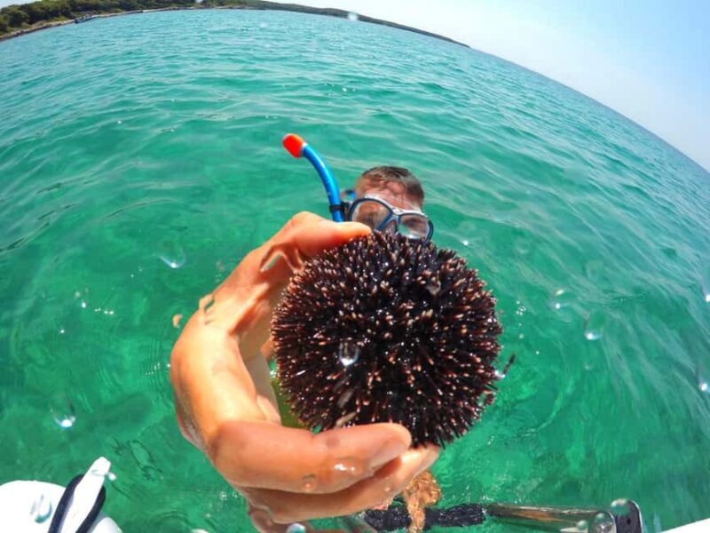 Zadar: Shipwreck Dive, Sandy Beach, Lighthouse & Island Tour - The Overall Experience