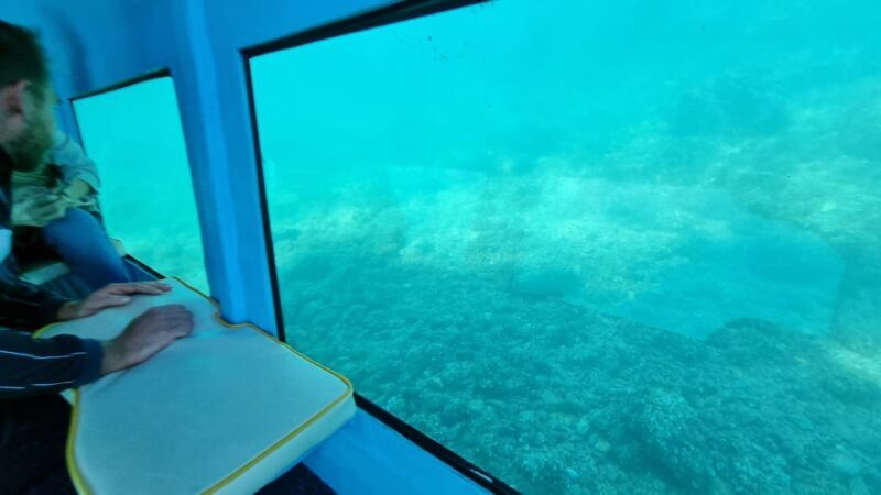 Zadar: Yellow Semi-Submarine Underwater Exploration Tour - Authentic Experiences and Guest Insights
