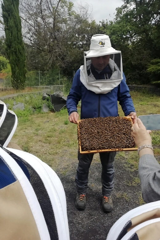 Zafferana Etnea:Honey extraction workshop and honey tasting - Visiting the Hive: See Bees Up Close