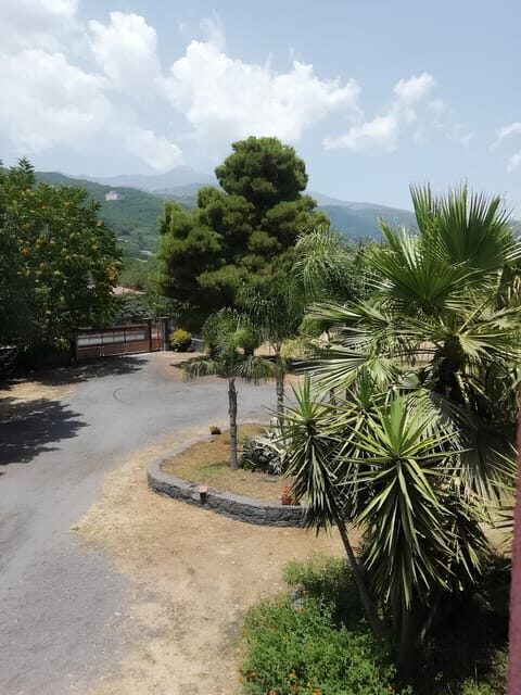 Zafferana Etnea:Honey extraction workshop and honey tasting - Duration & Group Size